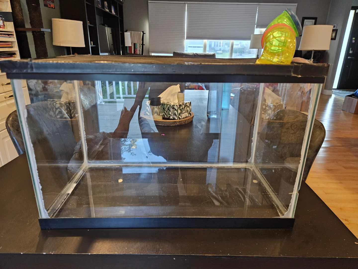 Hamster Cages and Accessories - photo 5