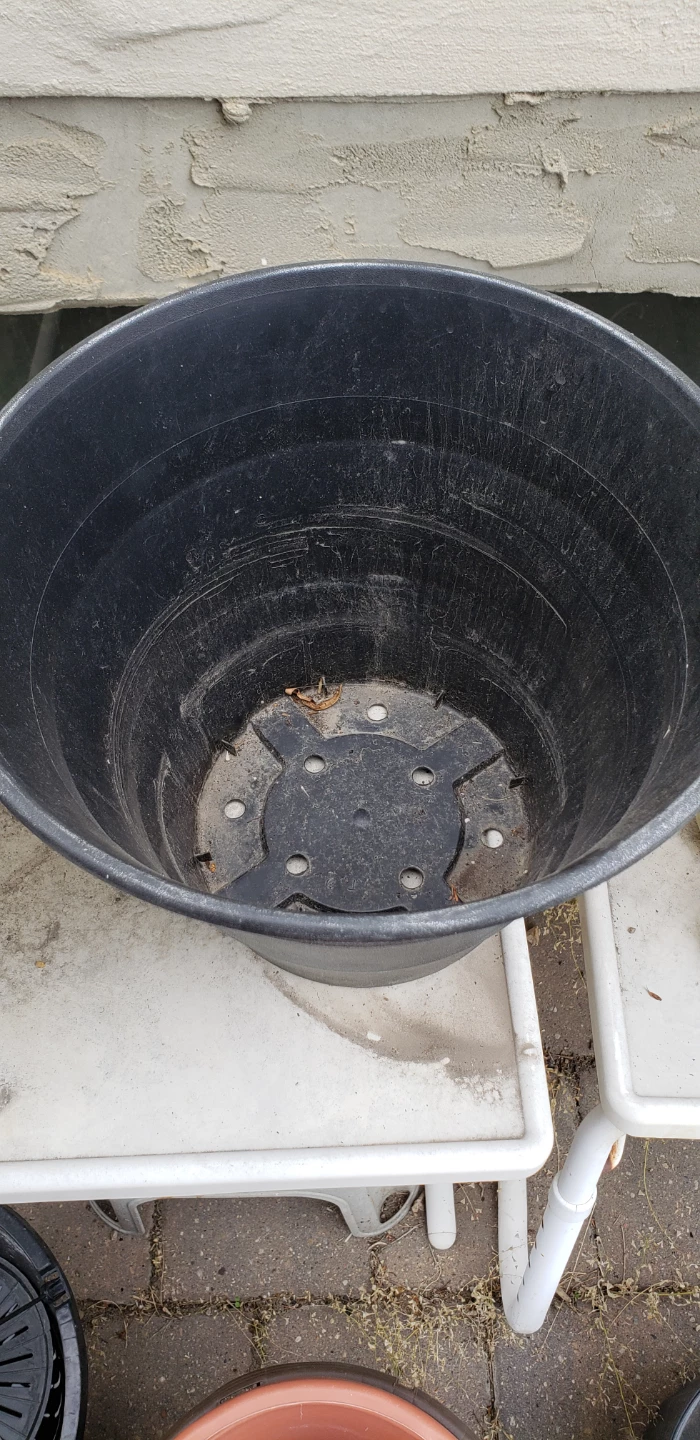 6 Large Black Plastic Plant Pots $2 each - photo 4