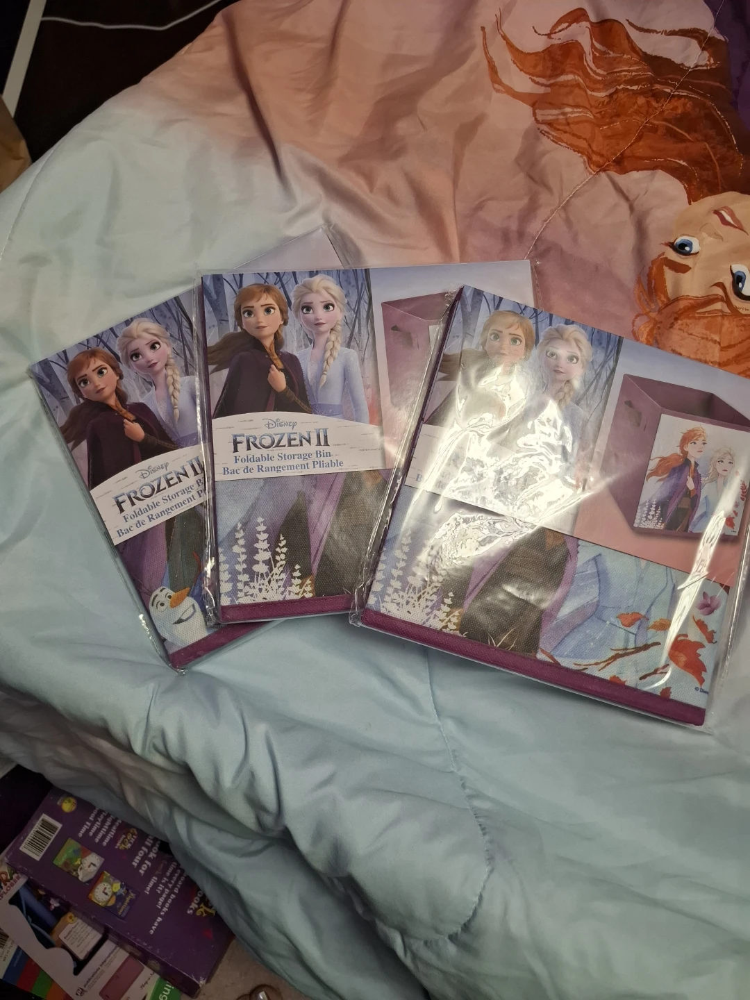 Disney Frozen II Foldable Storage Bin