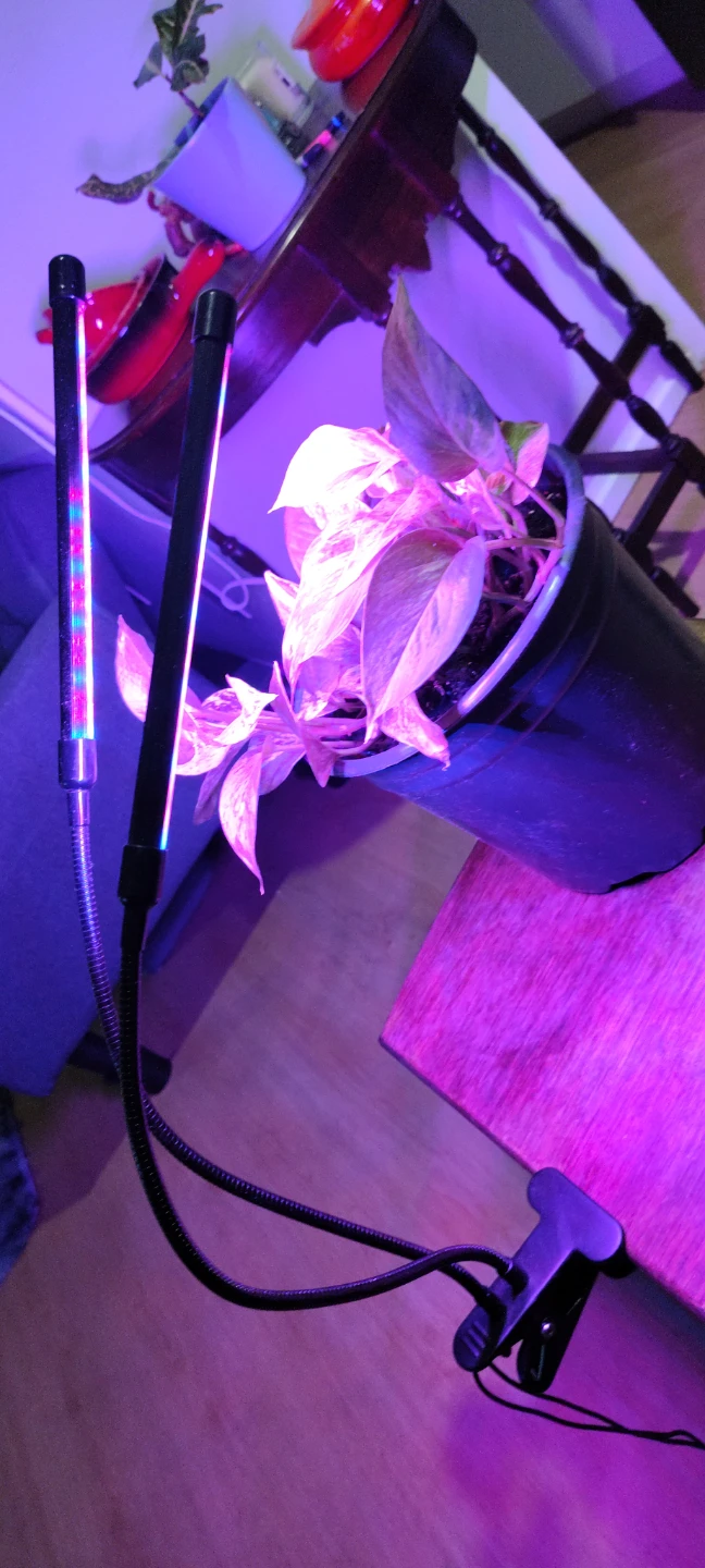 Clip-on Grow Light - photo 2