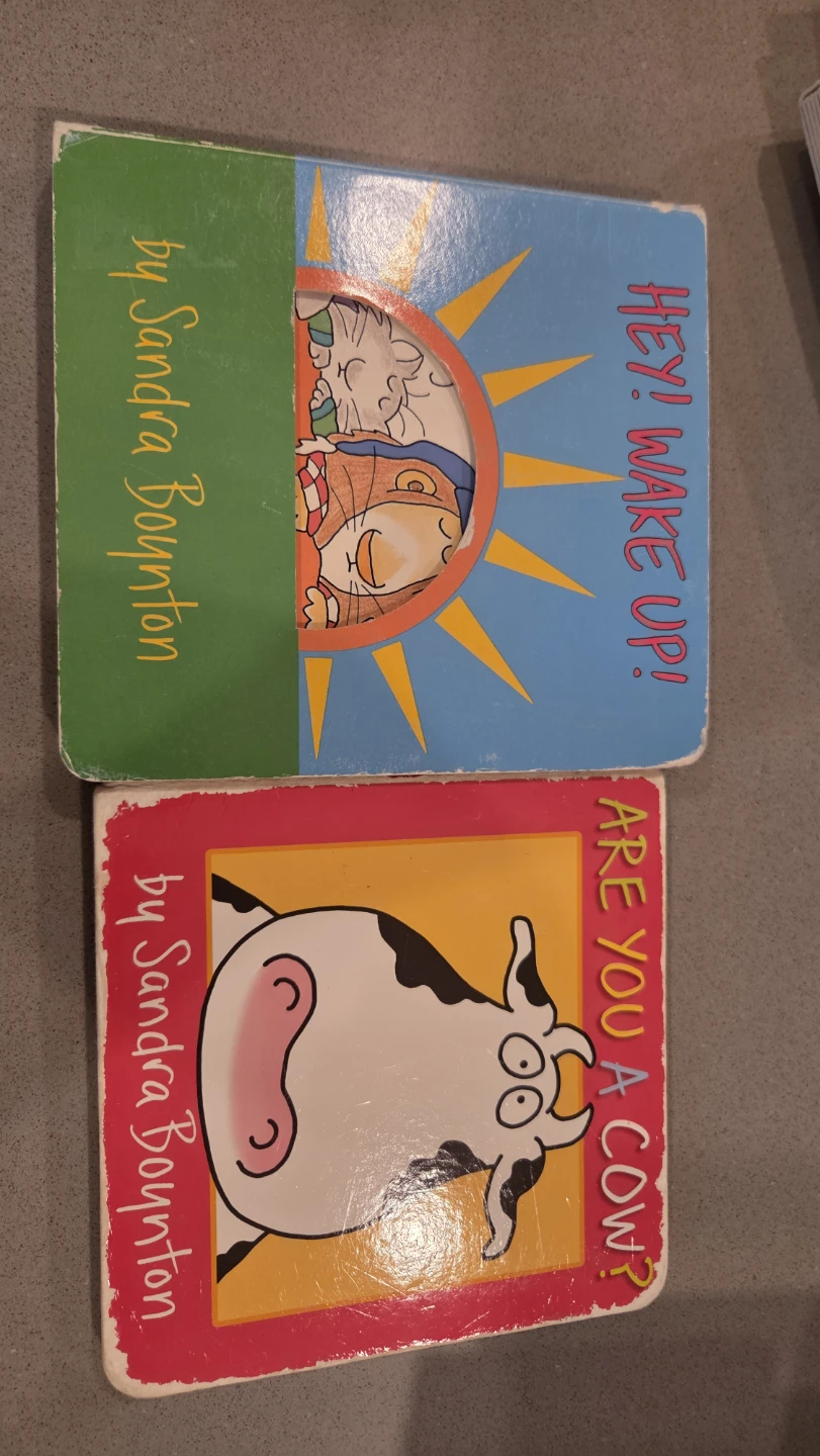 Lot of 11 Sandra Boynton Board Books - photo 4