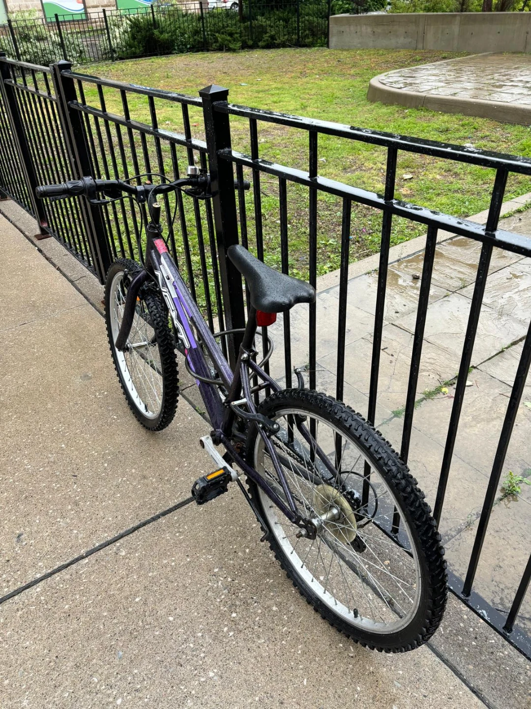 Next 10-Speed Mountain Bike