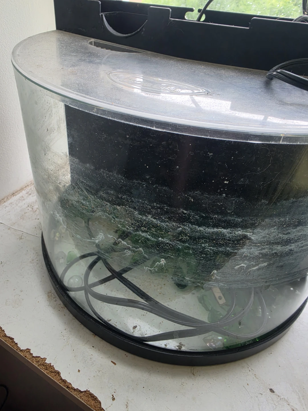 Fish Tank Aquarium