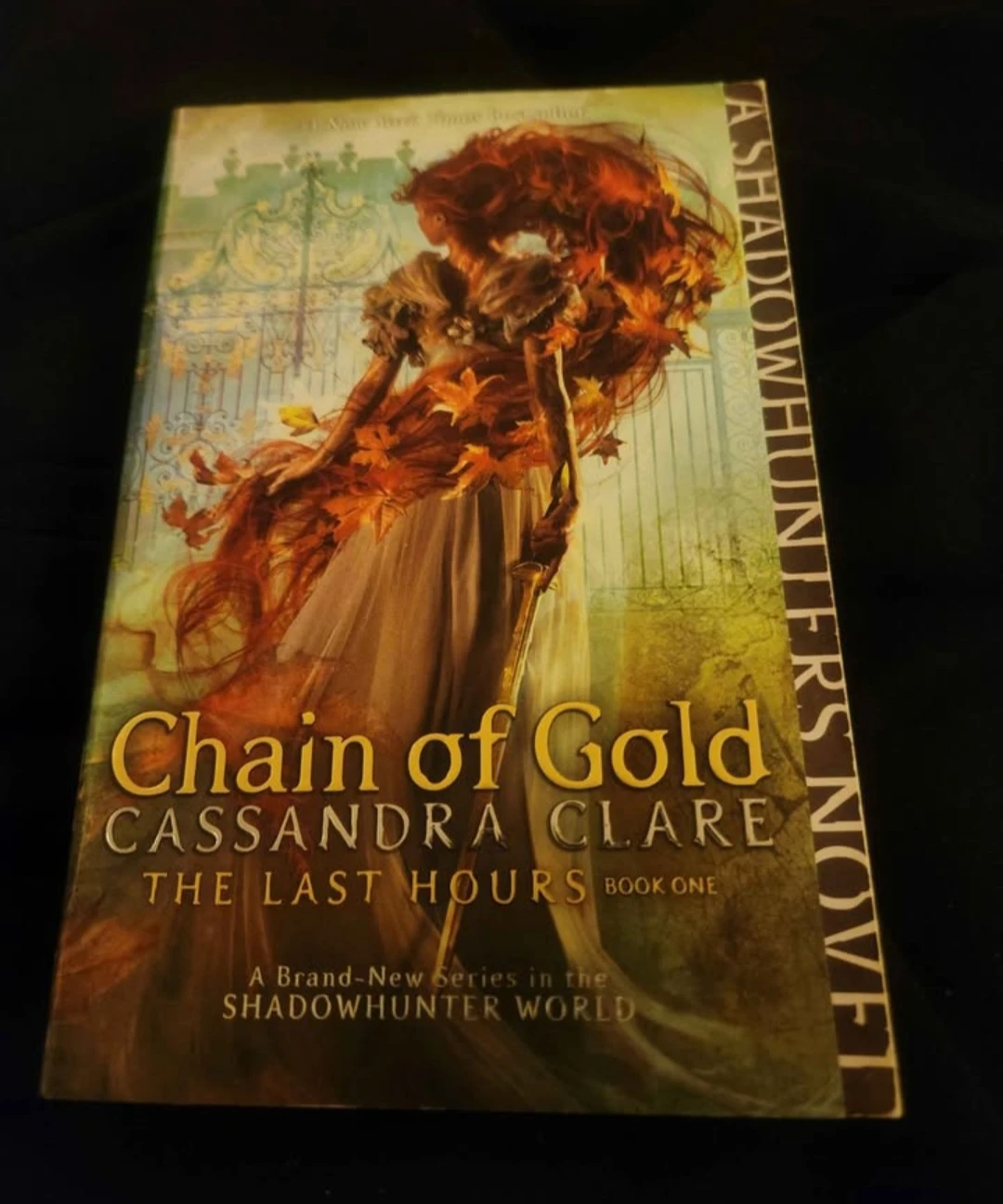 Chain of Gold and Chain of Iron Cassandra Clare Novels - photo 2