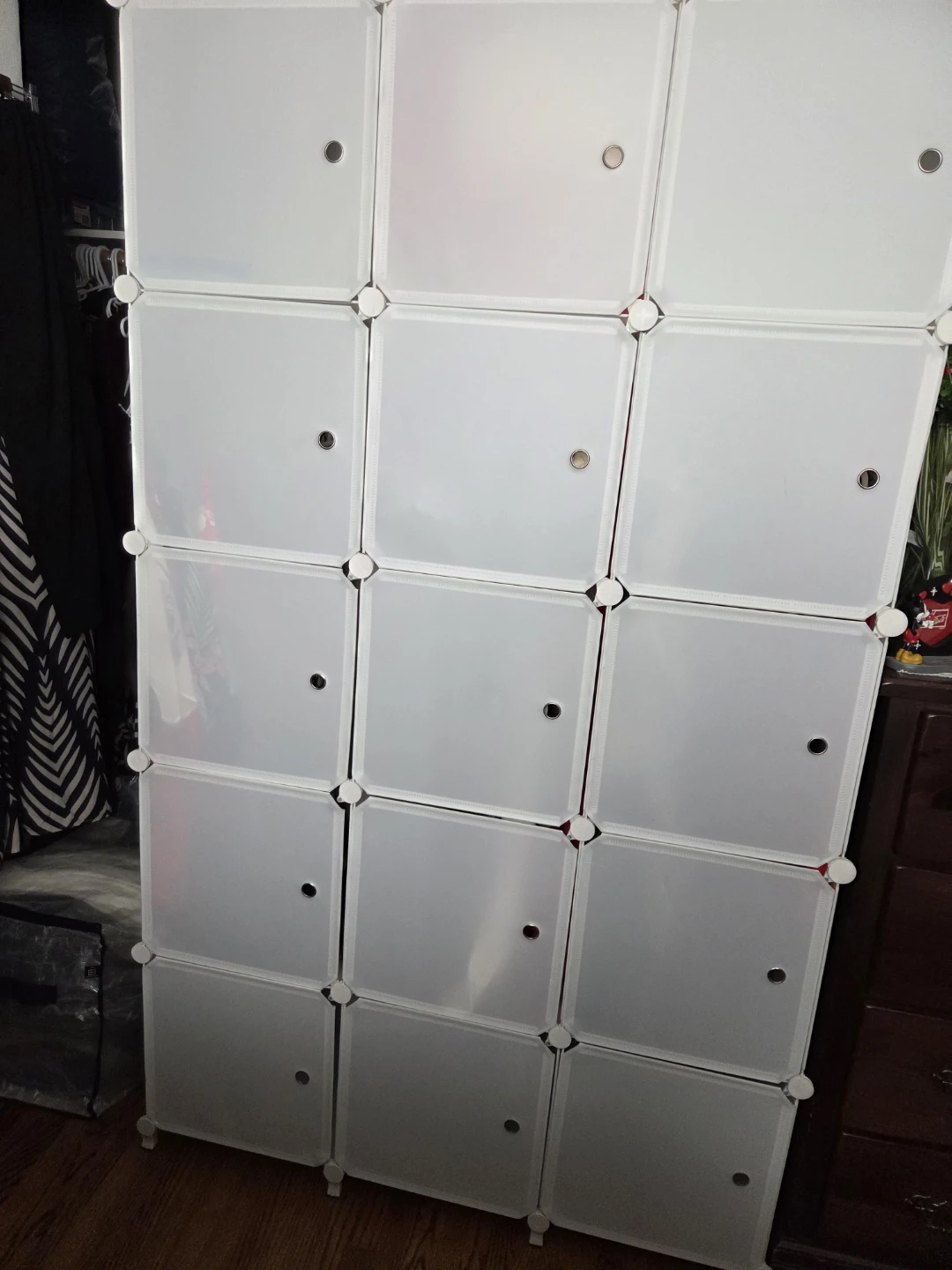 Cabinet Closet Storage Unit