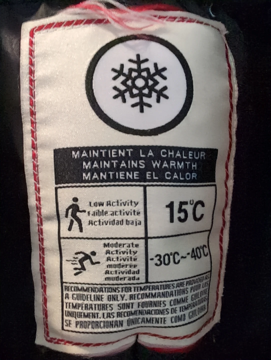 Canada Weathergear Men's Winter Parka - L/G - photo 4