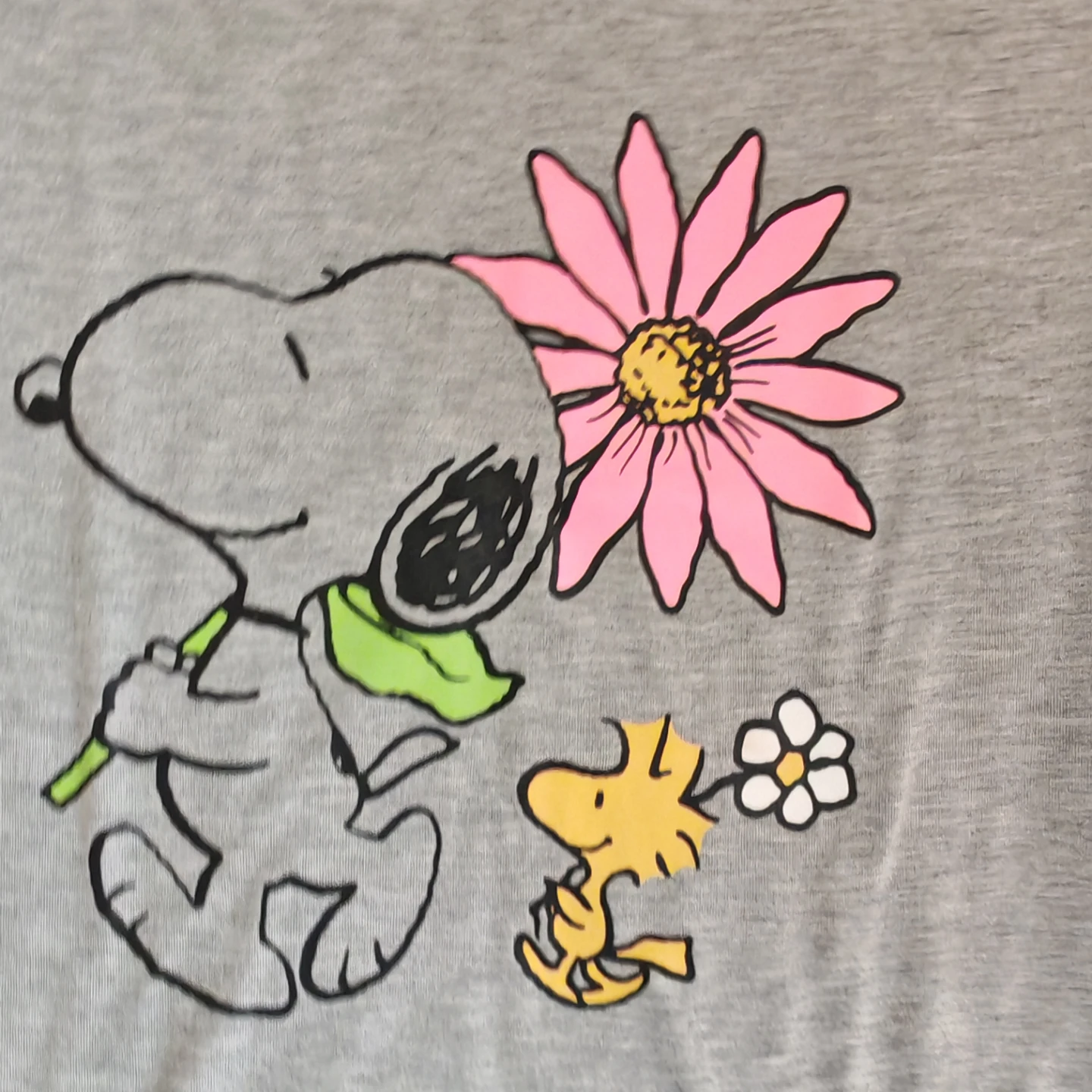 Peanuts Snoopy and Woodstock Graphic T-Shirt - Size 4 - photo 5