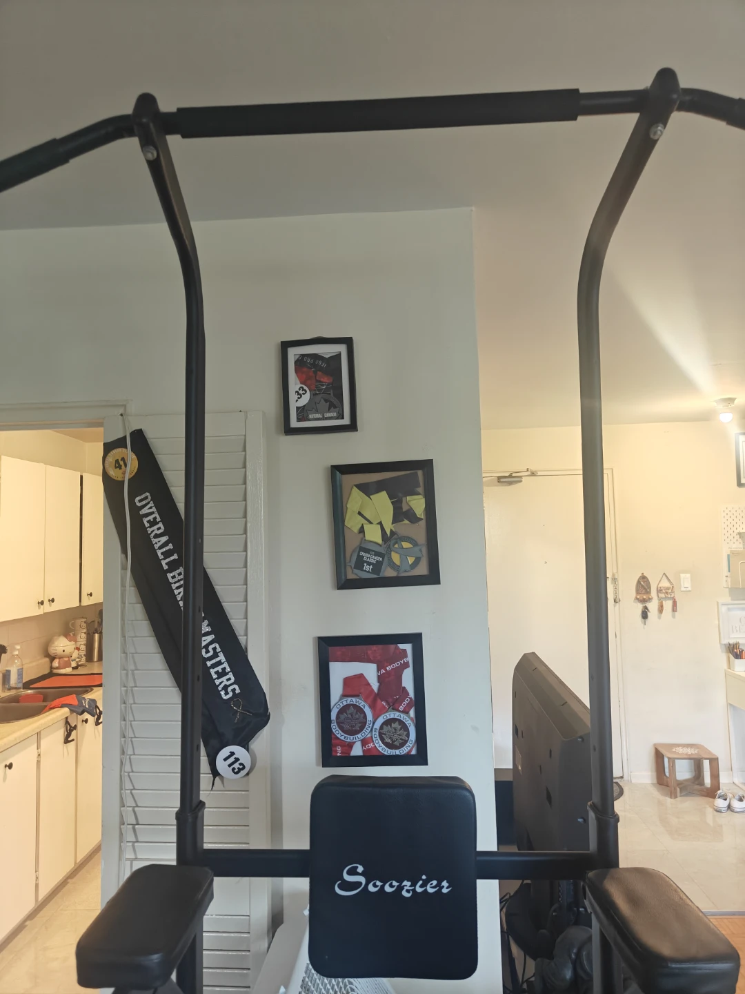 Gym/exercise equipment - photo 2