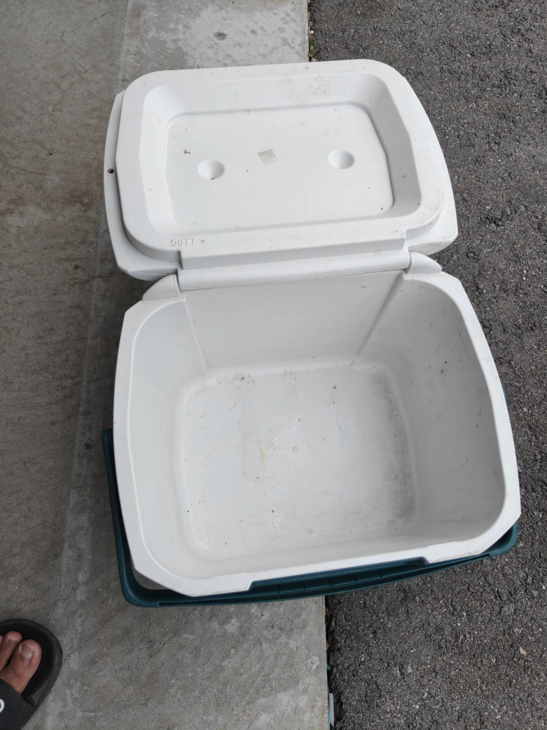 Coleman Excursion 16 Cooler - photo 4