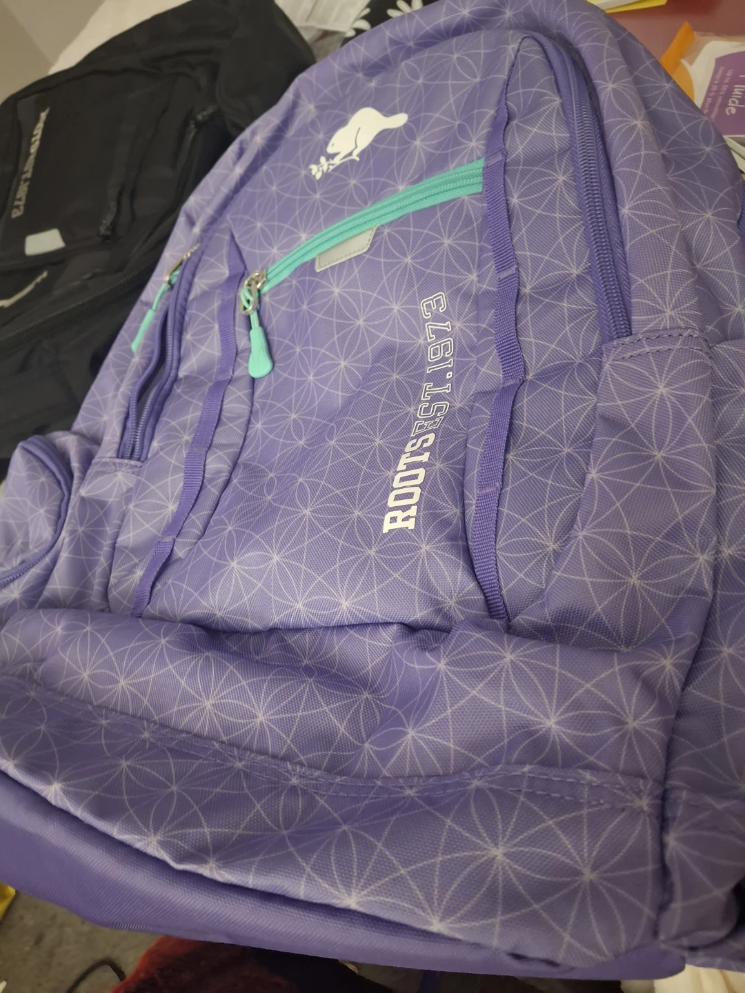 Roots Backpack - photo 4