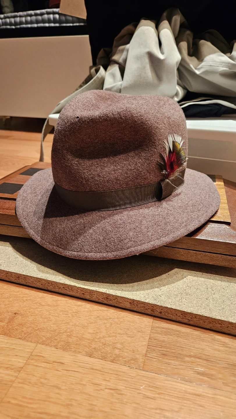 Brown Fedora Hat with Feather Detail