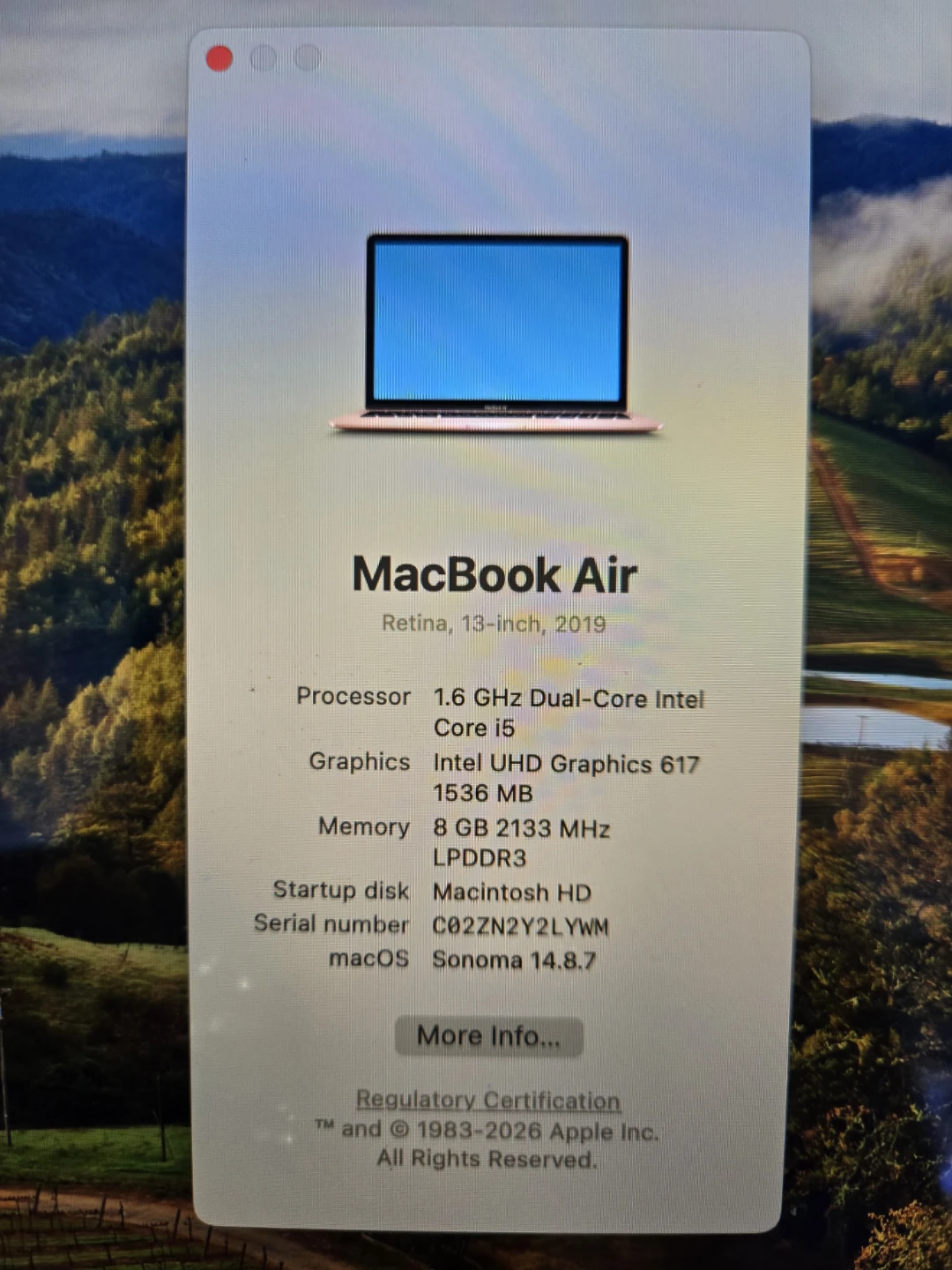 Apple MacBook Air 13-inch (2019) - Gold - photo 5