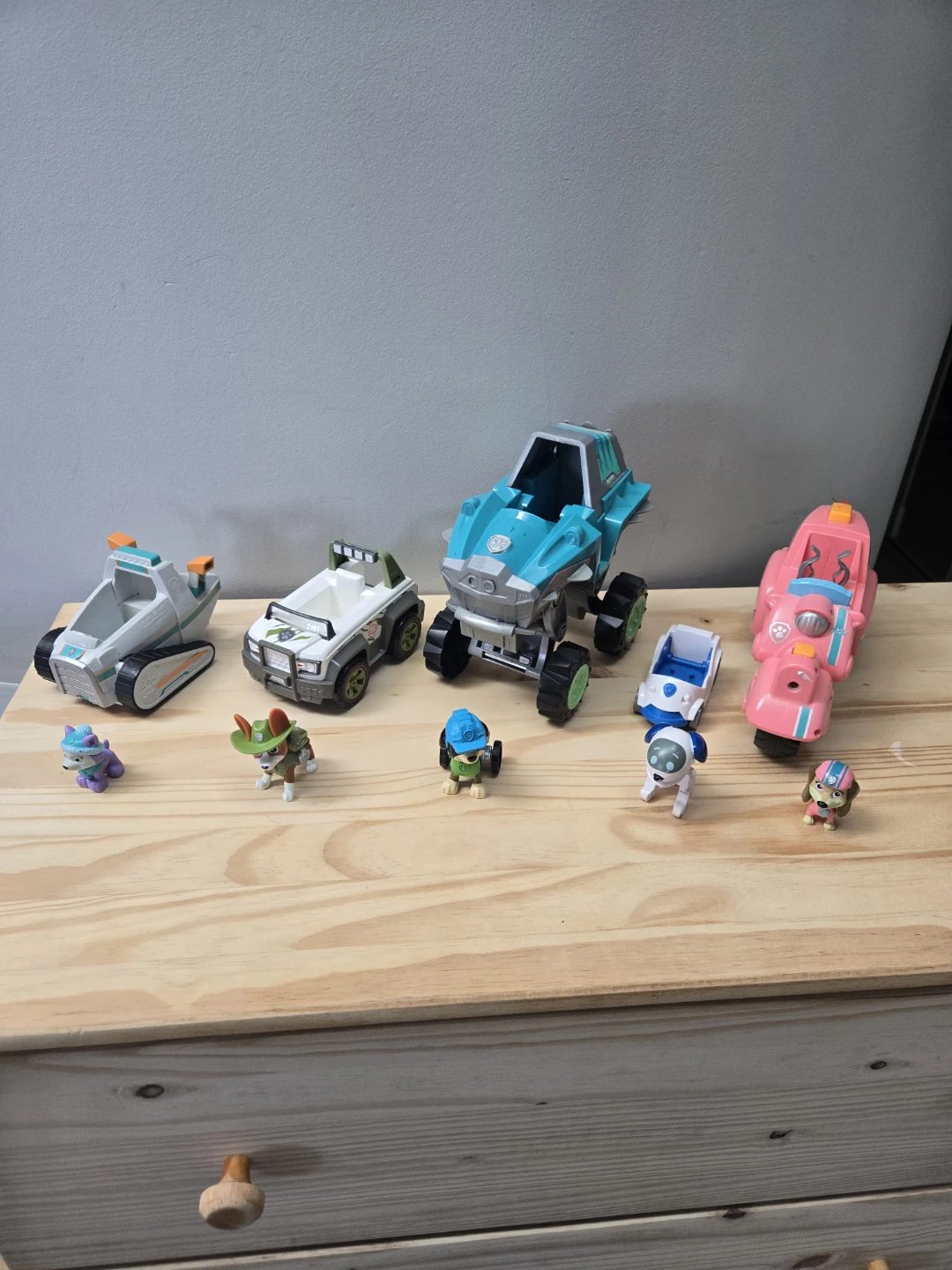 Rare paw patrol