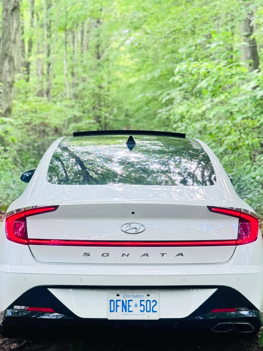 White Hyundai Sonata - photo 3