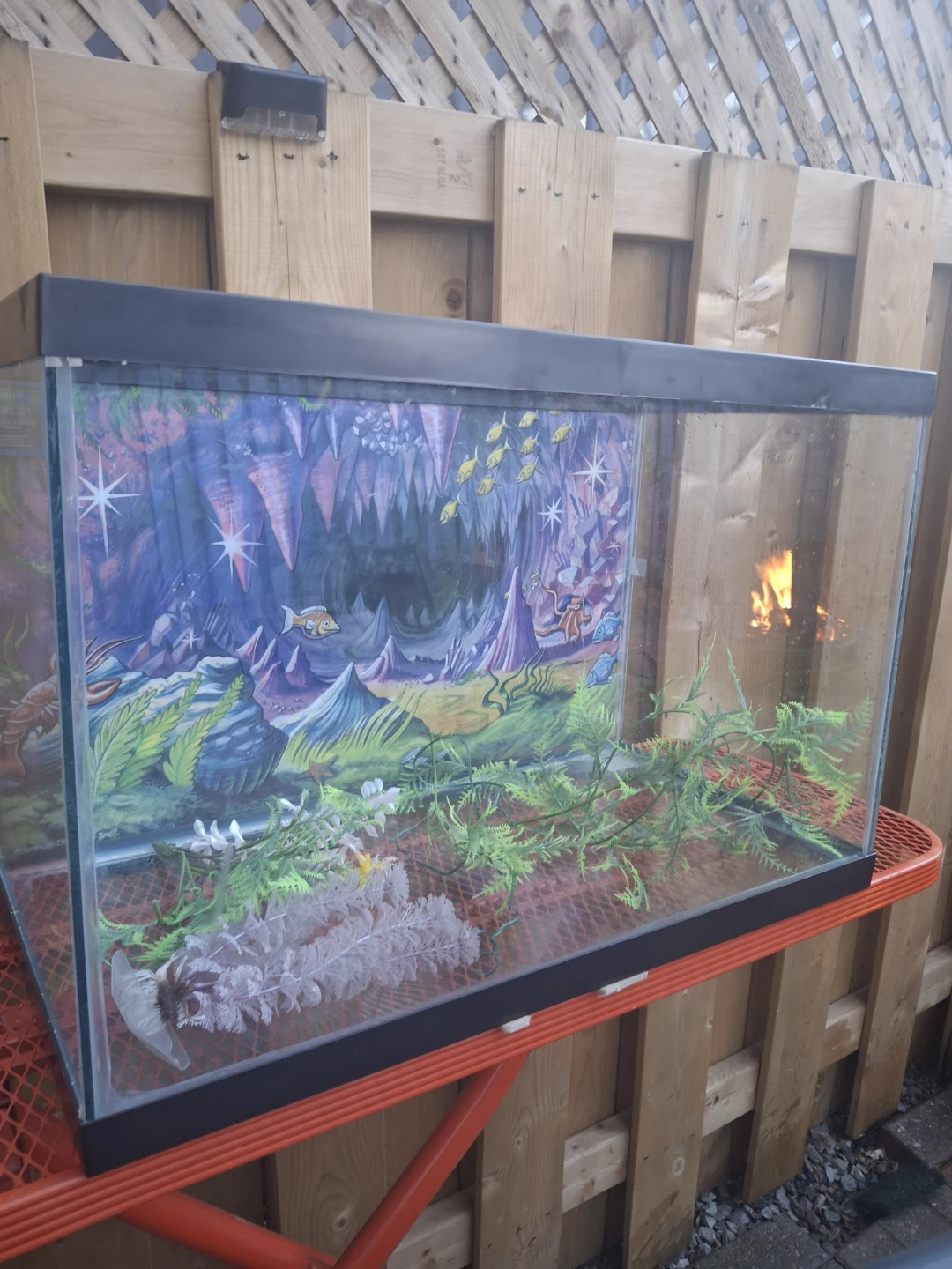Glass Aquarium Tank