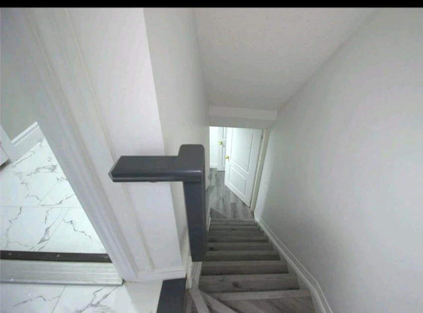 Spacious Basement for rent