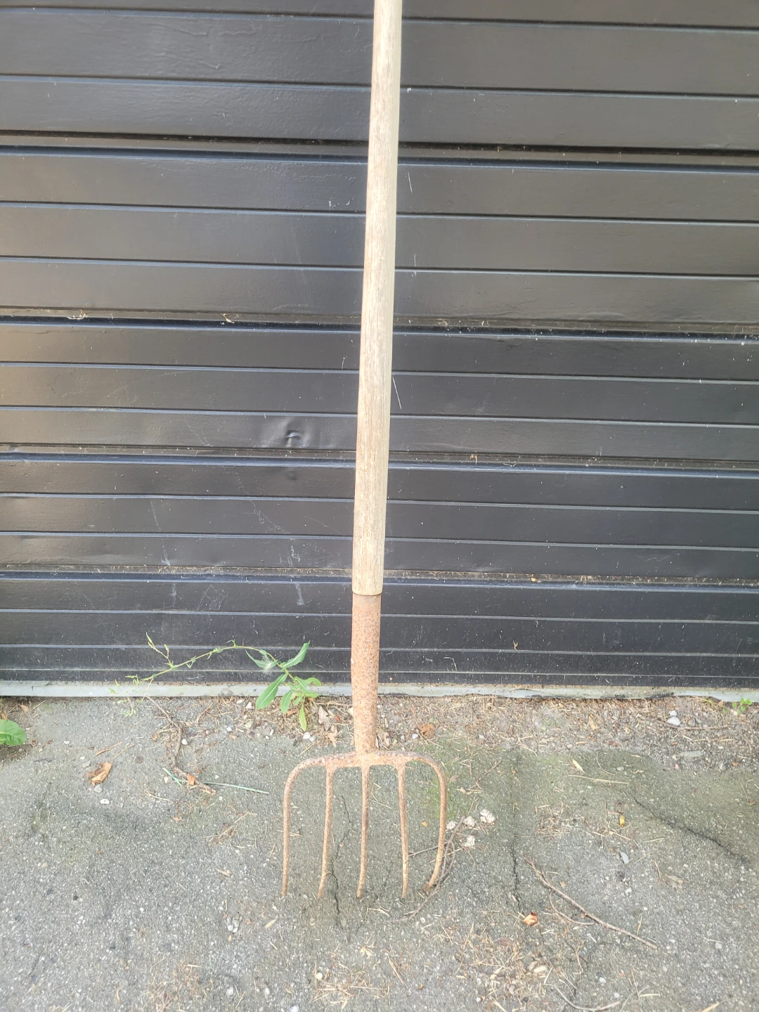 Pitch forks and rake - photo 5