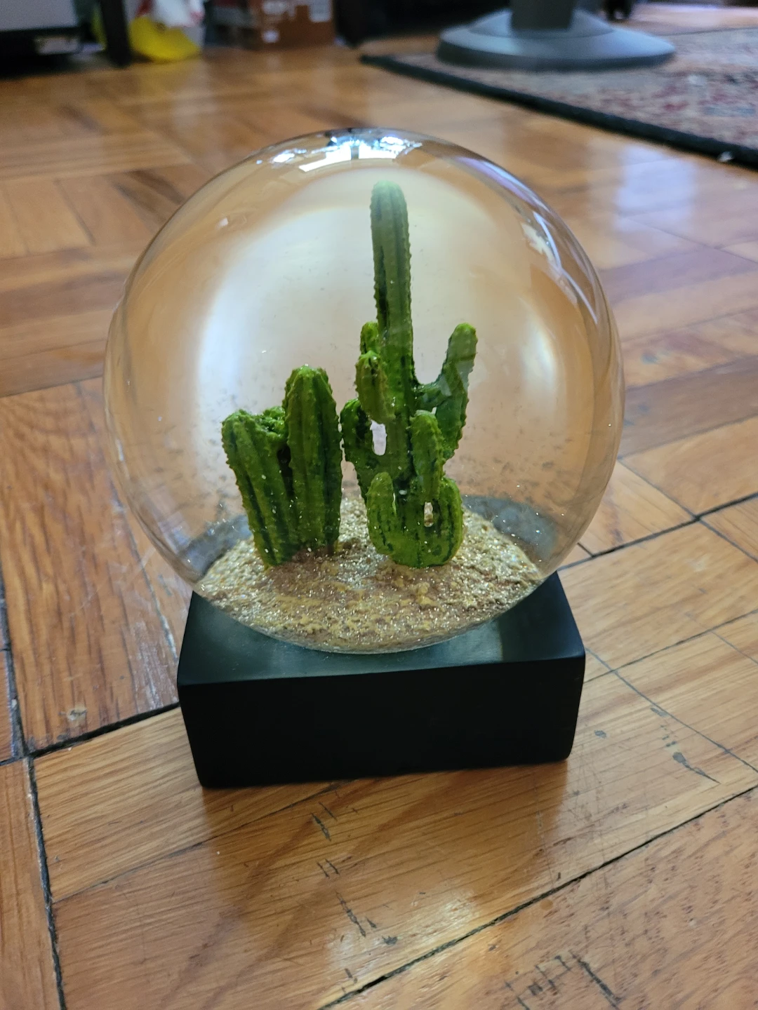 Decorative Cactus Snow Globe - photo 2