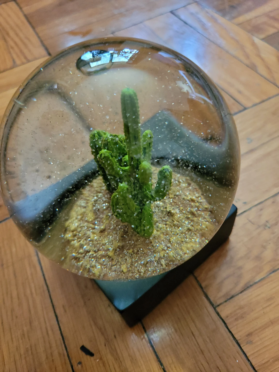 Decorative Cactus Snow Globe - photo 3