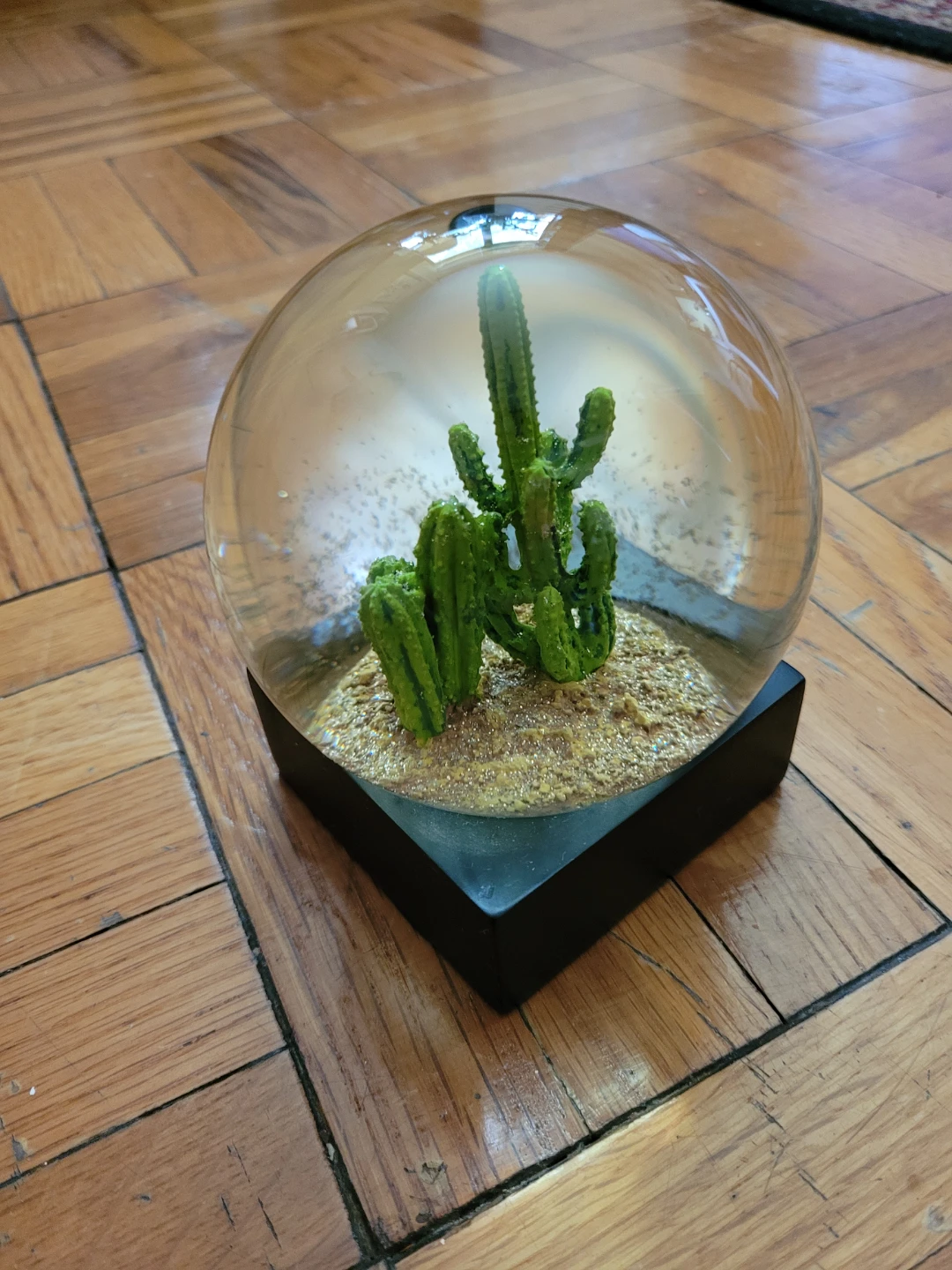 Decorative Cactus Snow Globe - photo 4