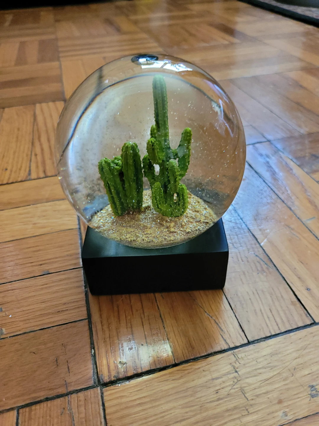 Decorative Cactus Snow Globe - photo 5