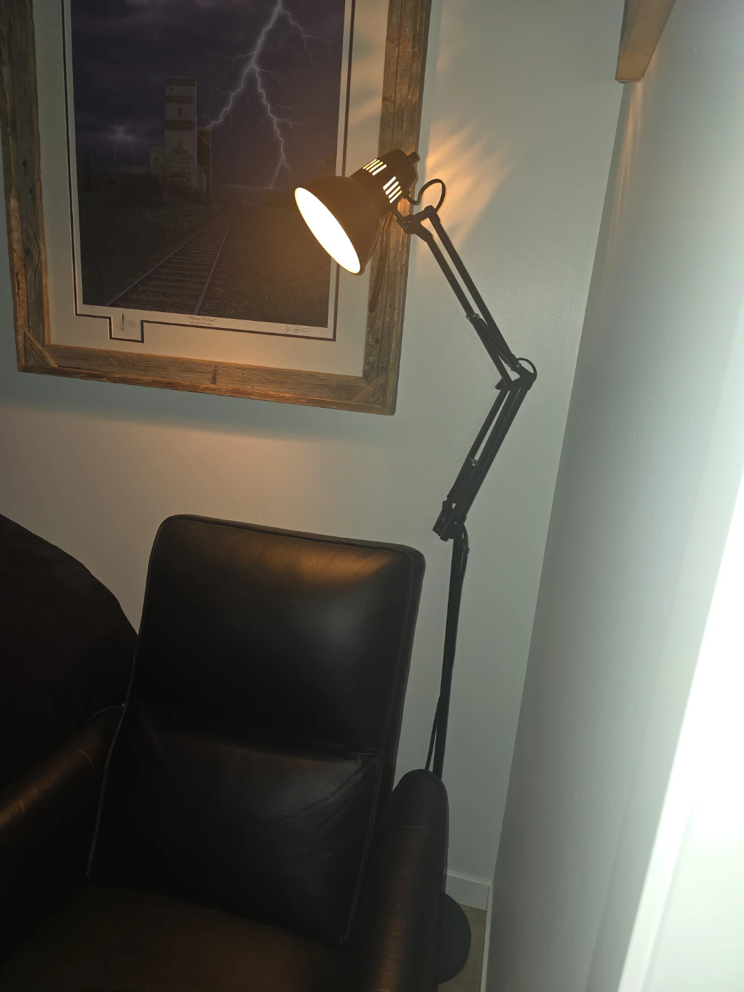 Black Articulating Floor Lamp