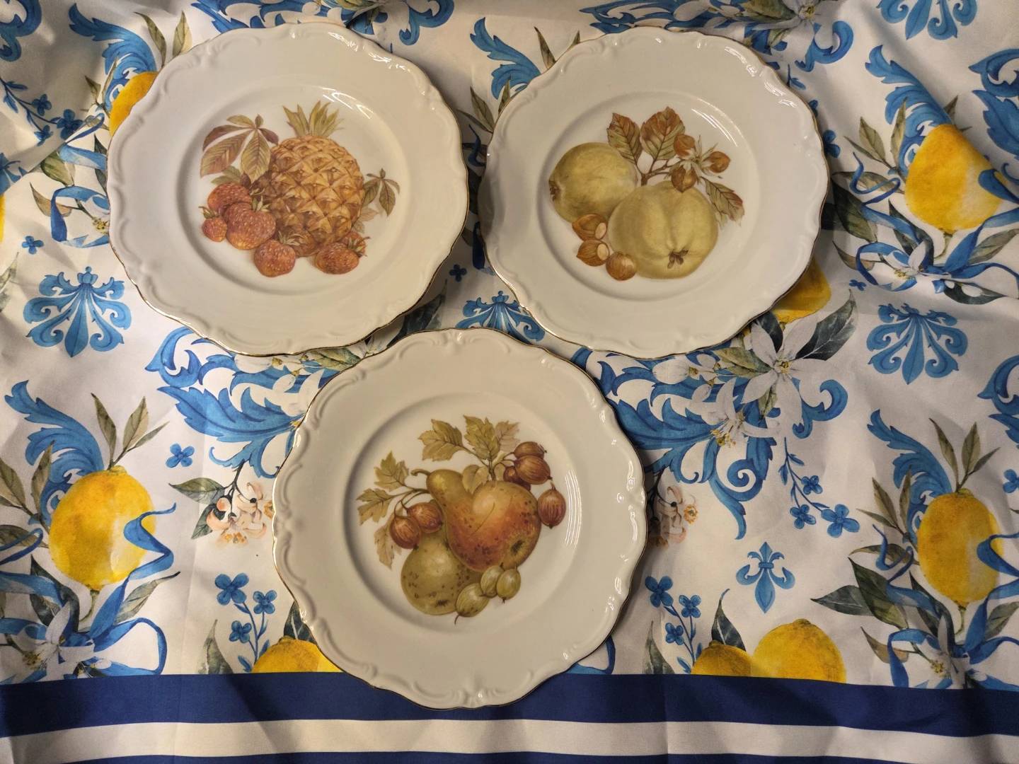 Winterling Roslau Porcelain Plate set of 3 - Fruit Design