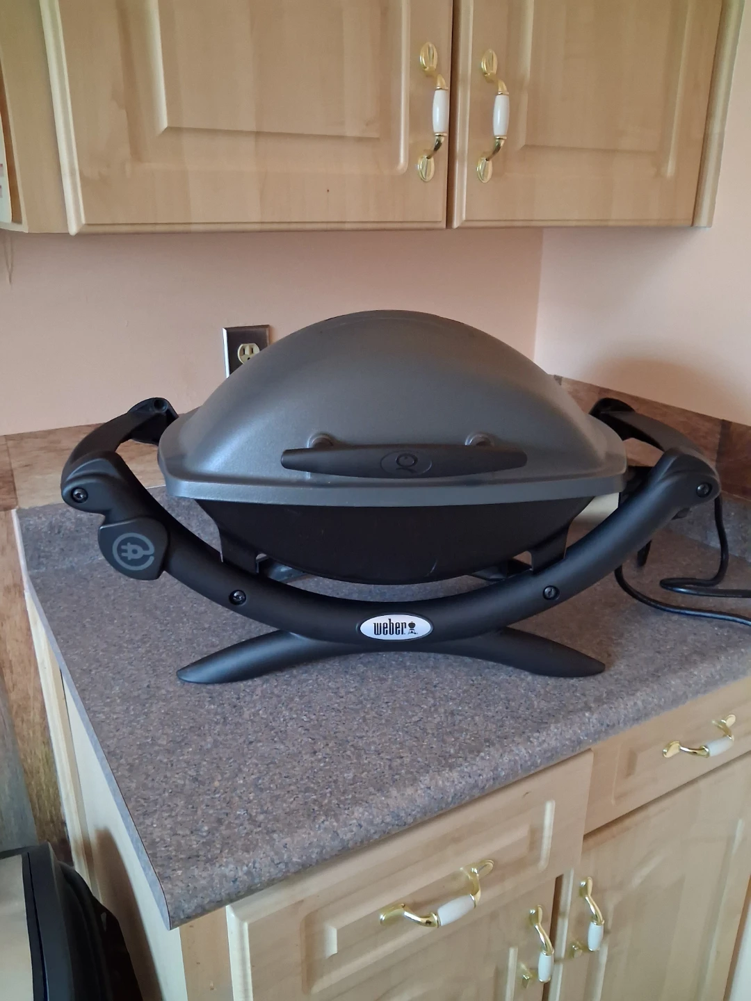 Weber Electric Grill 1400 Series
