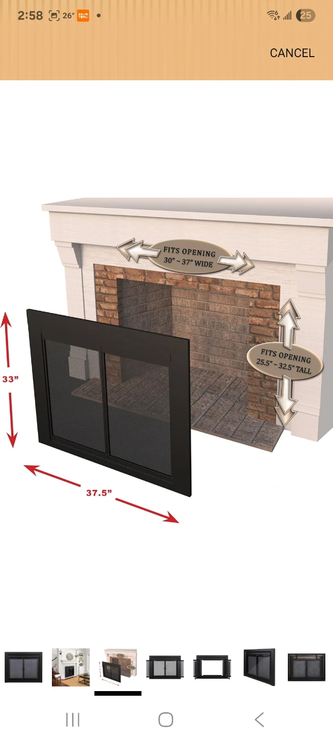 Black Fireplace Screen with Double Doors - photo 2