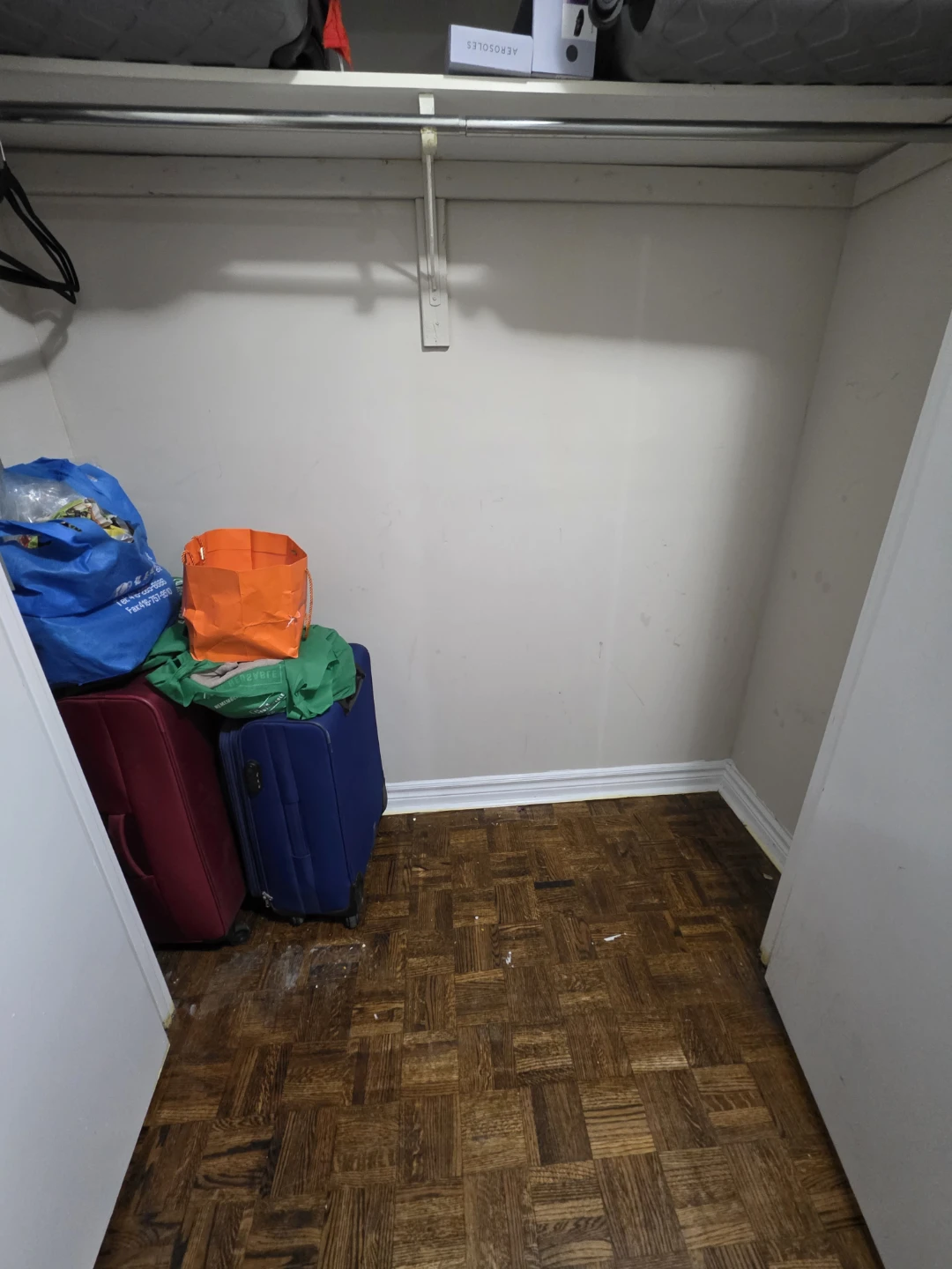 Immediate Female Room for Rent - photo 3