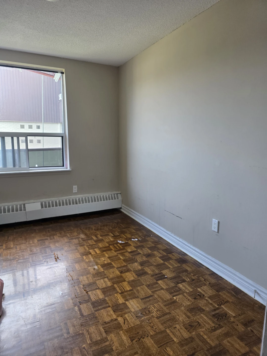 Immediate Female Room for Rent - photo 4