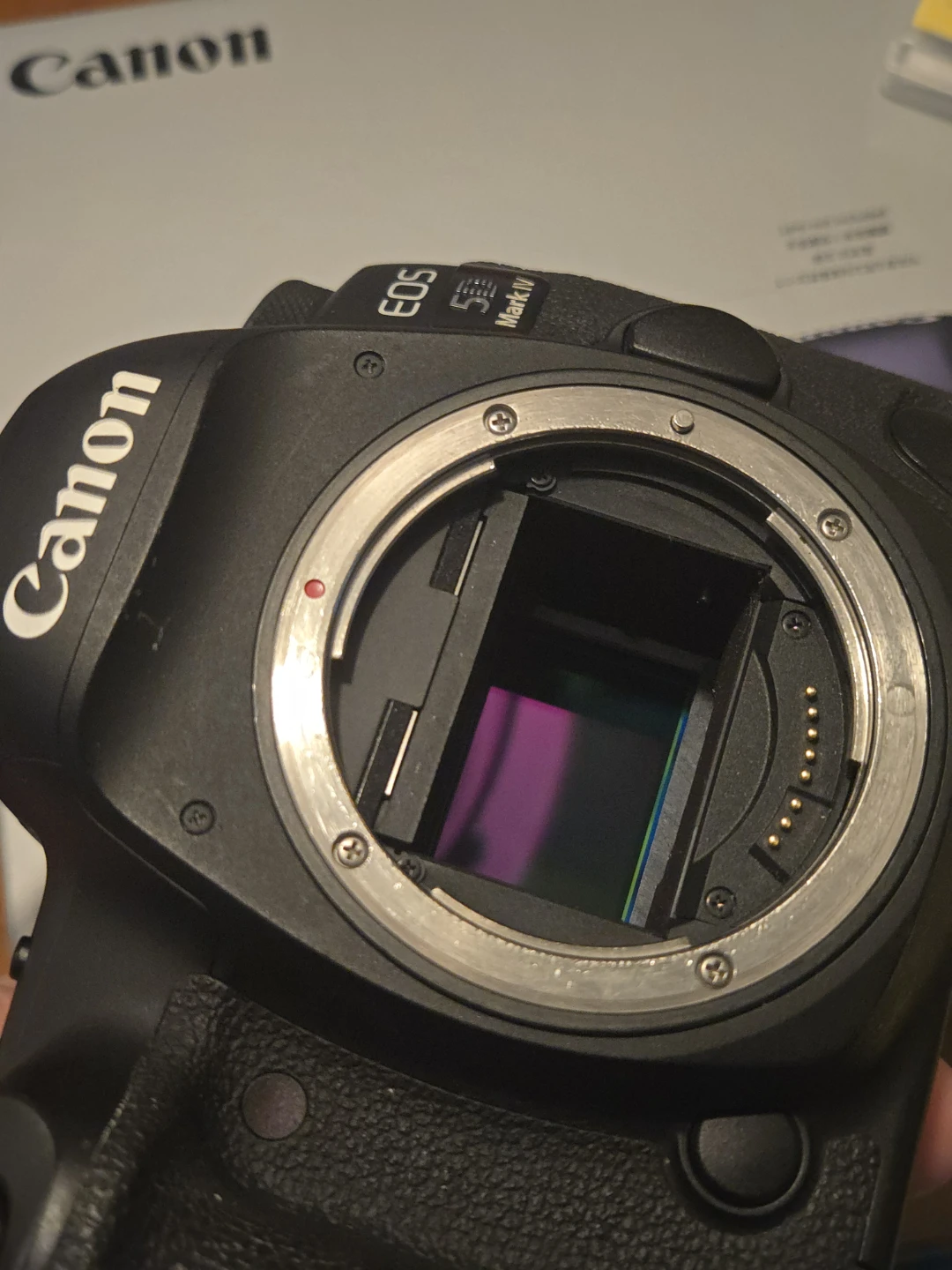 Canon EOS 5D Mark IV with extras - photo 5
