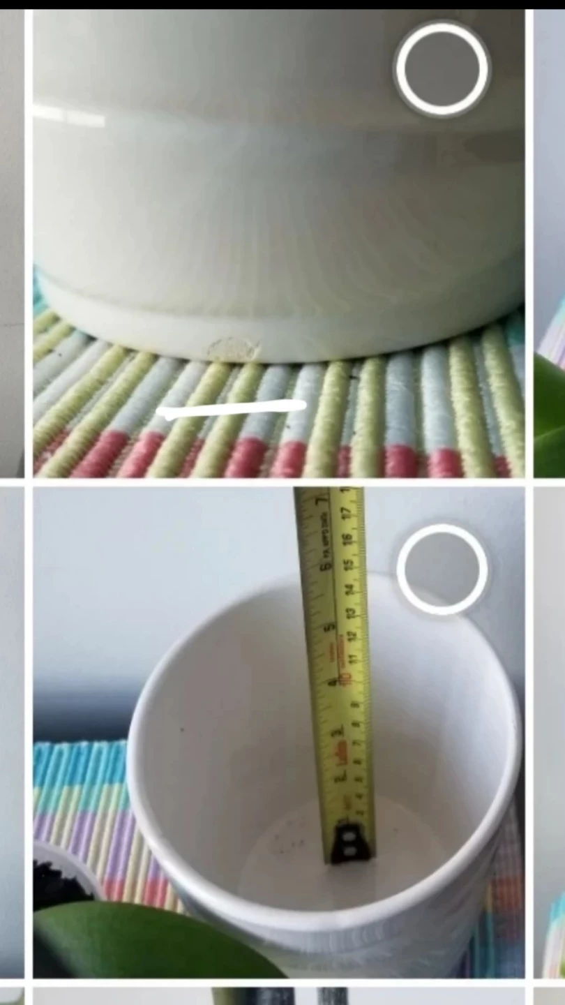 Woven Basket +Piccola Orchid + White Ceramic pot+ Table mat - photo 4