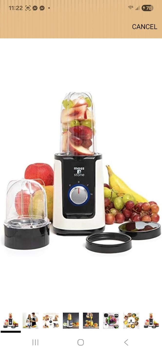 New ivory Moss & Stone Personal Blender