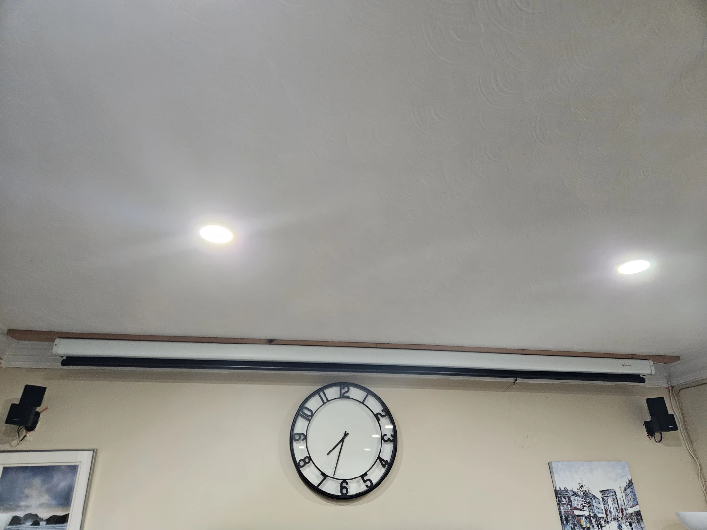 Manual Pull-Down Projector Screen