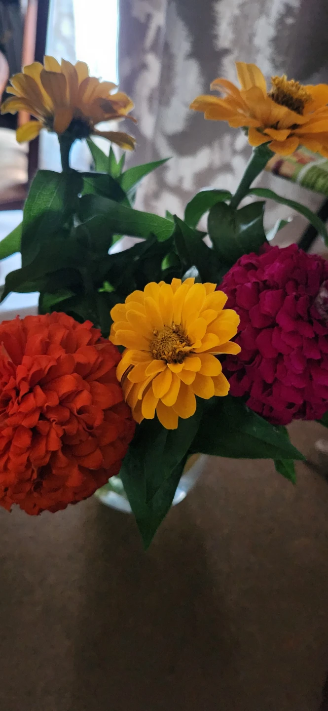 Mixed Zinnias Bouquet - photo 2