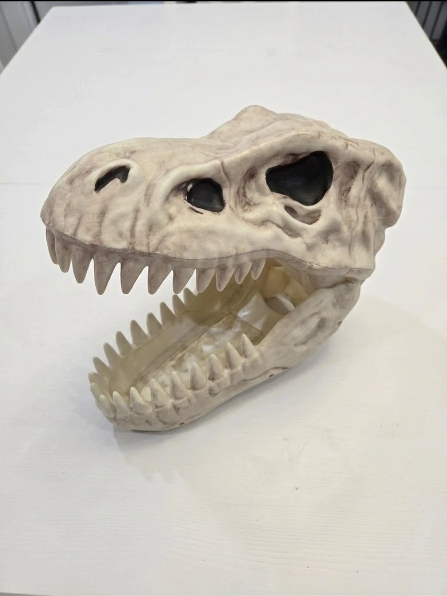 Dinosaur Skull Prop halloween - photo 2