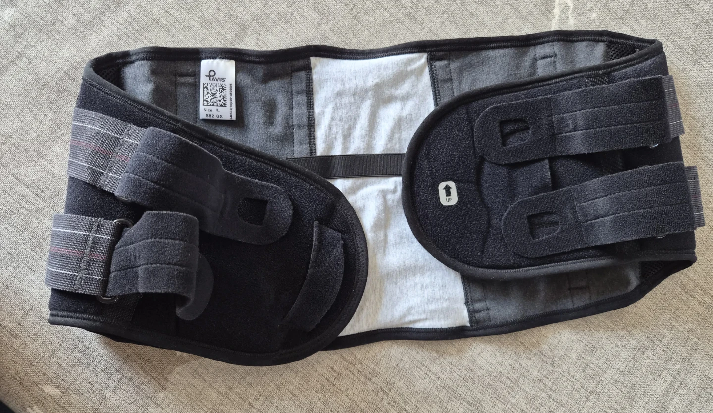 Pavis Back Support Belt - Size L - photo 2