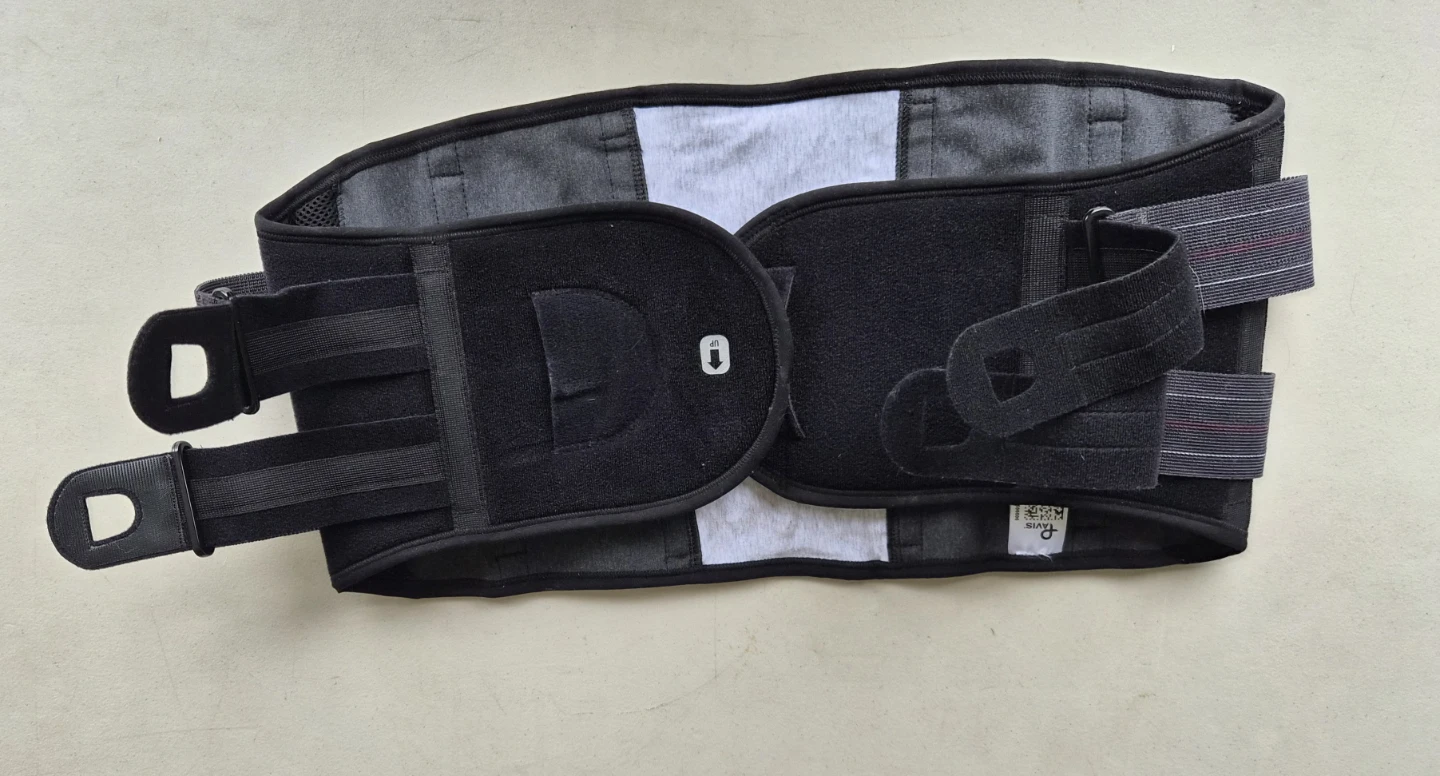 Pavis Back Support Belt - Size L - photo 5