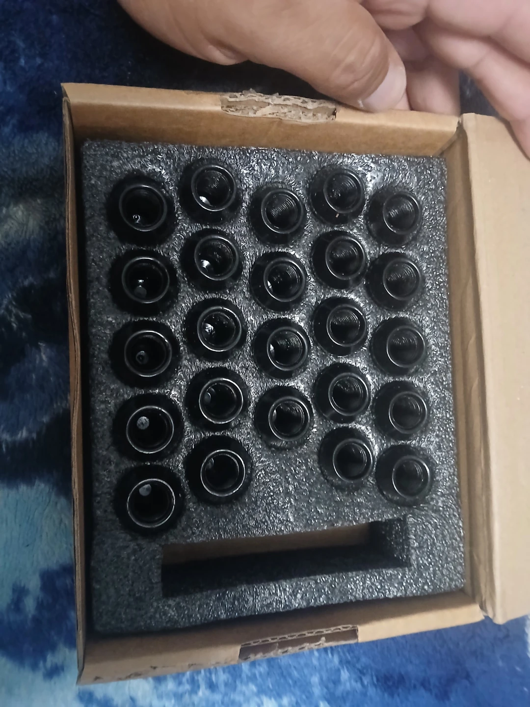 Black Lug Nuts (24 Count)
