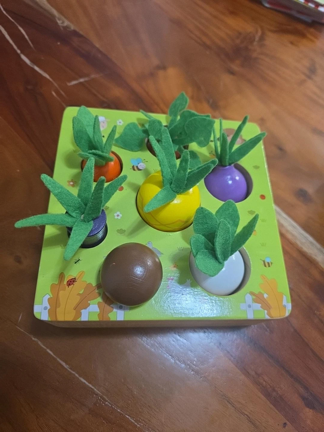 Wooden Vegetable Garden Sorting Toy - photo 2