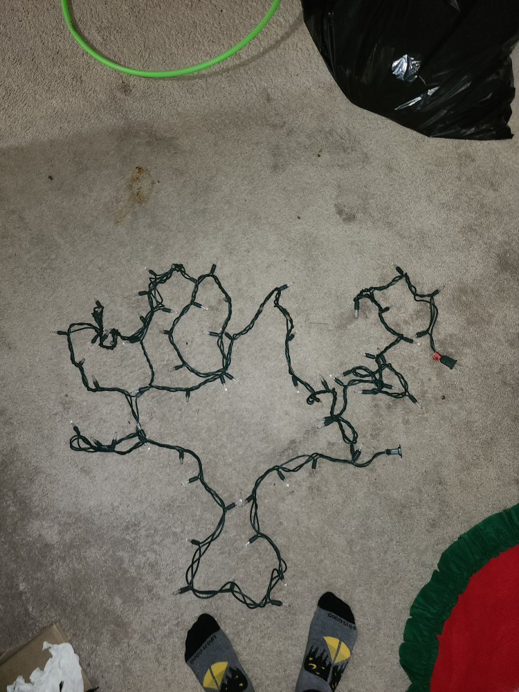String of White Christmas Lights