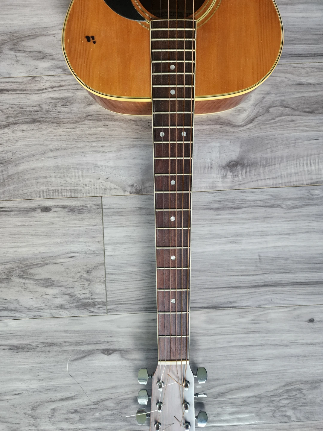 Shelby Acoustic Guitar - photo 4