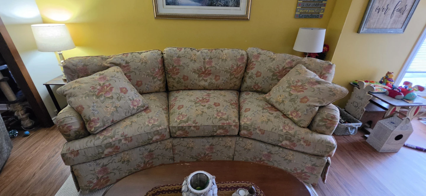 Lovely couch FREE