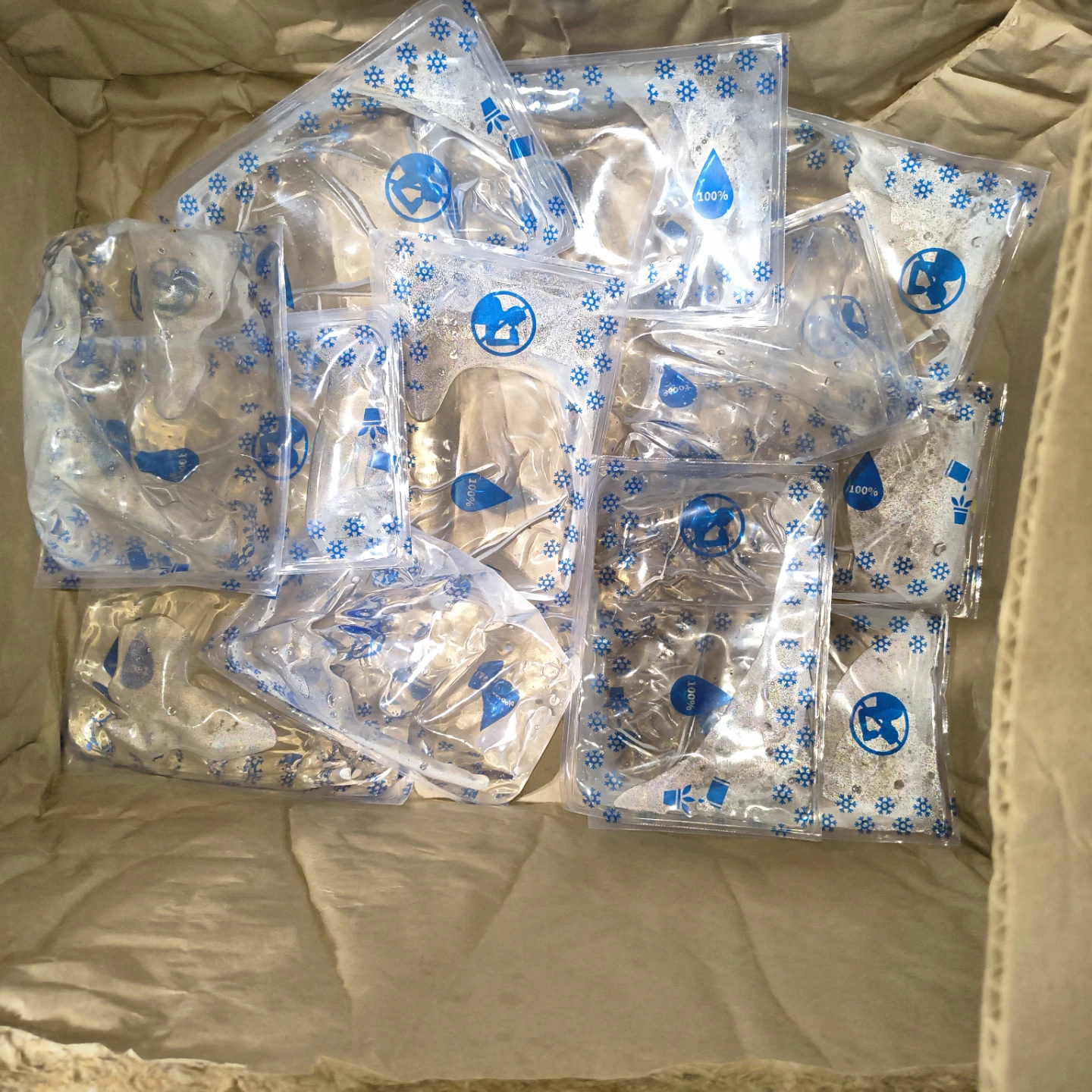 Reusable Ice Packs