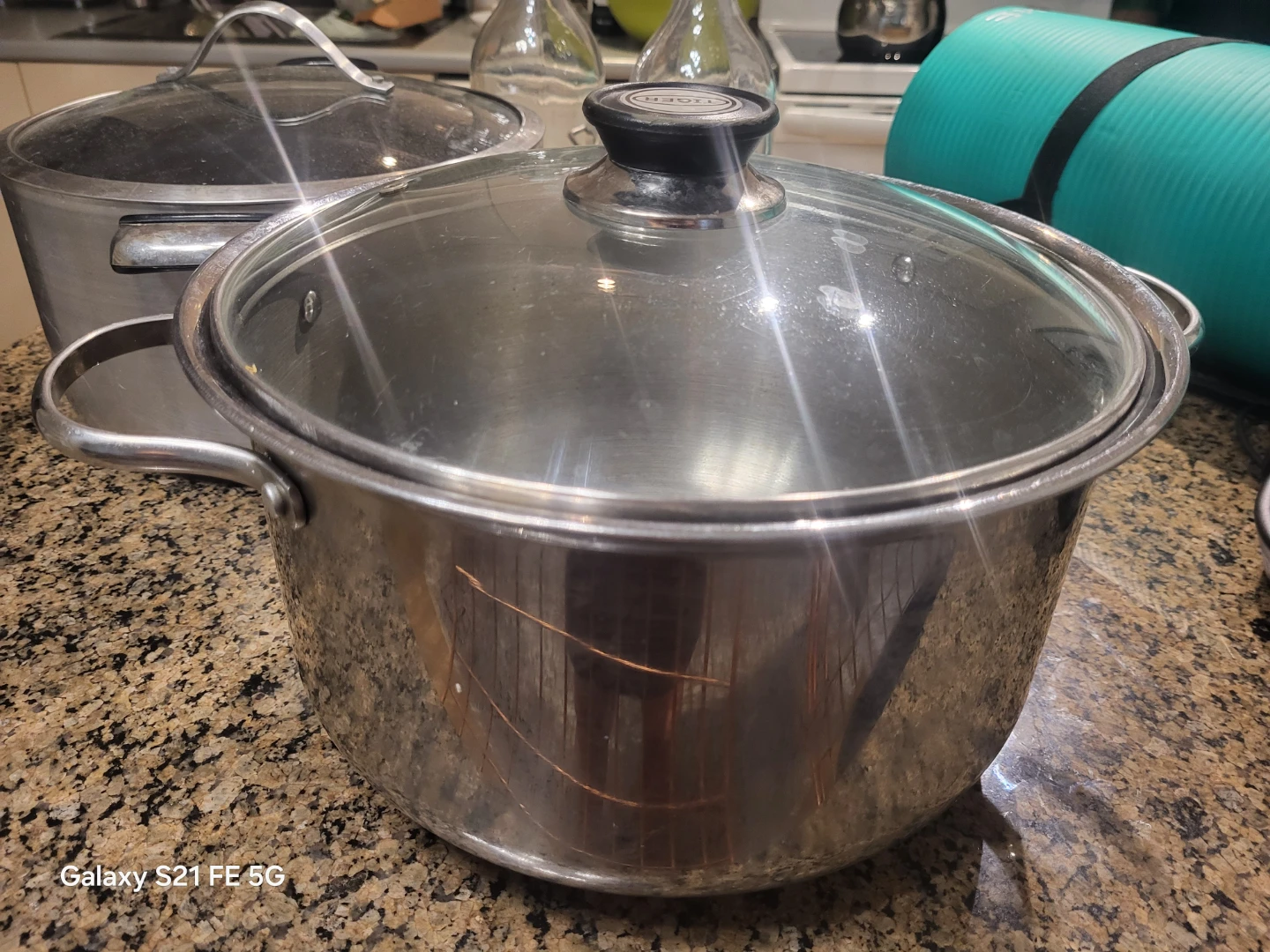 Tiger Stock Pot with Glass Lid