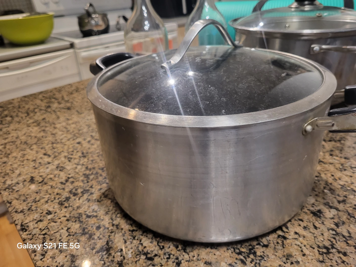Tiger Stock Pot with Glass Lid - photo 2