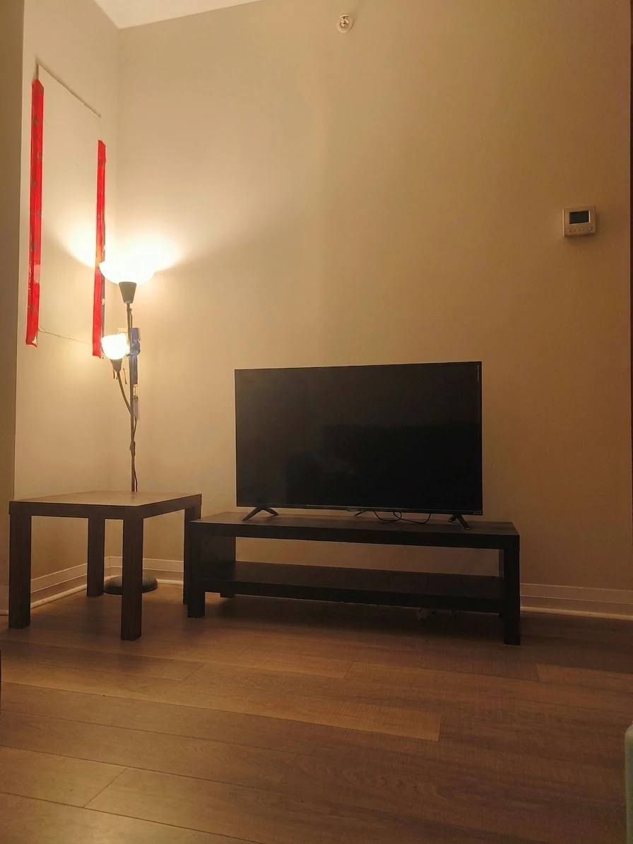 Philips Roku 43” 4K TV + Black Bench – $250