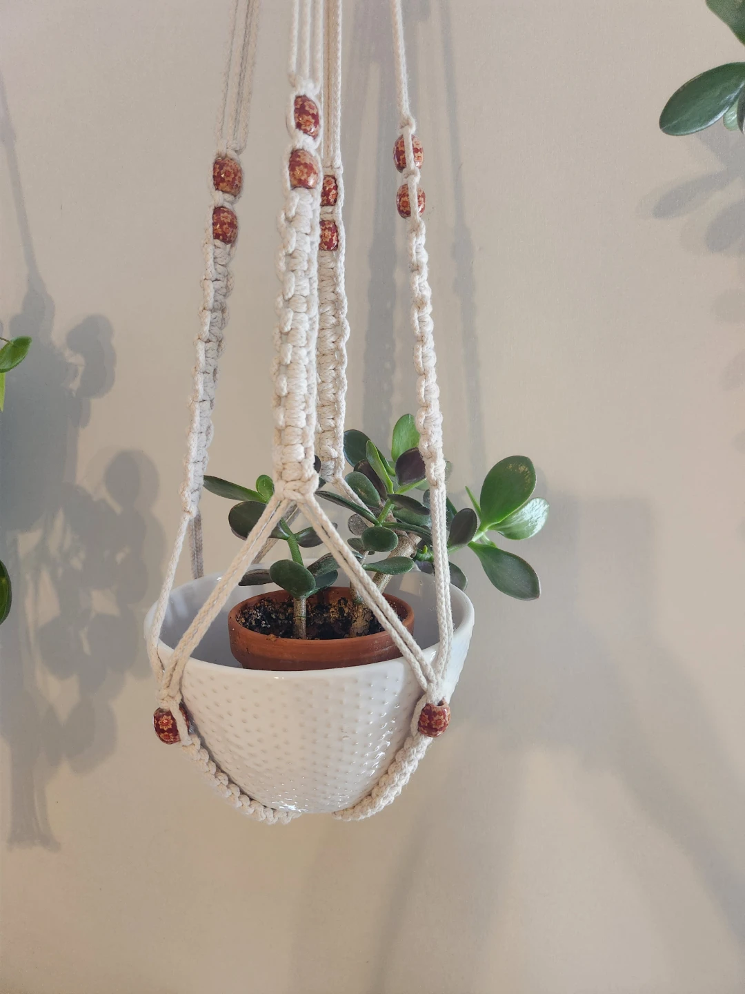 Assorted Potted Houseplants - photo 3