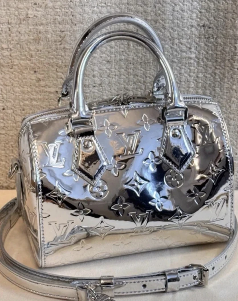Louis Vuitton Speedy handbag